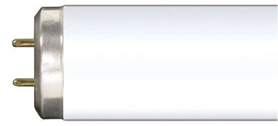 Light Bulbs Fluorescent Tubes Linear T12 Bipin F20T12 6500K D8265TC 5YR