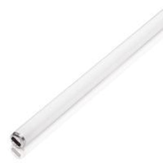 Picture of Light Bulbs Fluorescent Tubes Linear Safety Coated T12 BiPin F40T12 AWX8651 SG 5YR