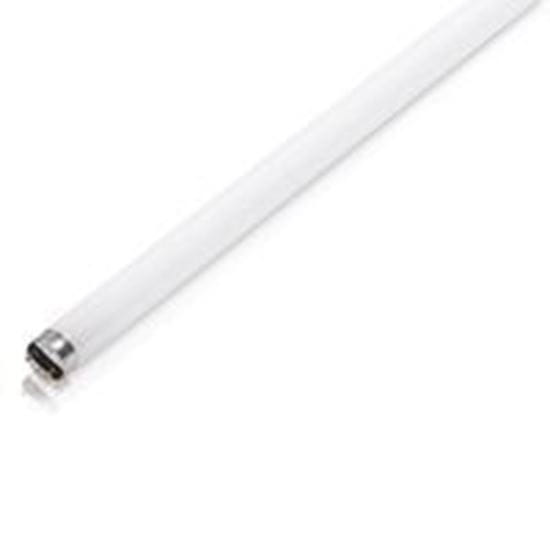 Picture of Light Bulbs Fluorescent Tubes Linear Safety Coated T8 BiPin F32T8 AWX8550 SG 5YR