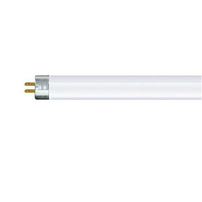 Light Bulbs Fluorescent Tubes Linear T5 Preheat F6T5 4100K CW6741 5YR