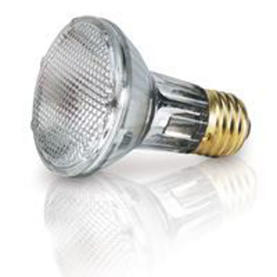 Light Bulbs Halogens PARs PAR20 50W Replacement Flood 38PAR20