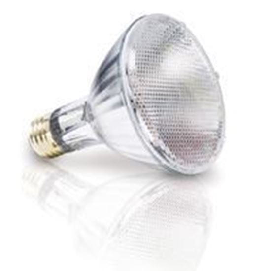 Picture of Light Bulbs Halogens PARs PAR30L 75W Replacement Wide Flood - 40° 60PAR30IX LN WIDE-FL