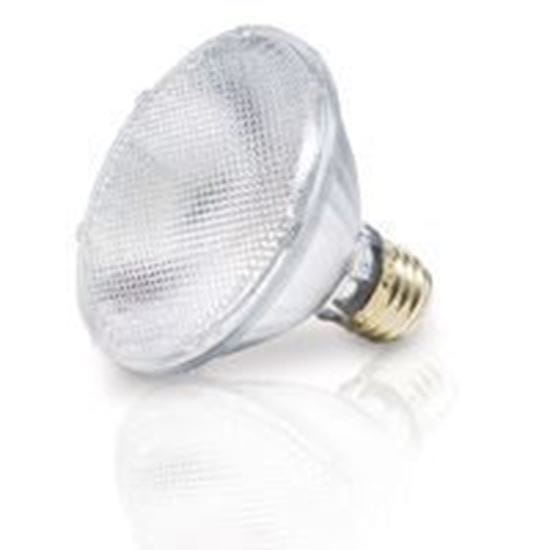 Picture of Light Bulbs Halogens PARs PAR30S 75W Replacement Flood - 30° 60PAR30IX SN