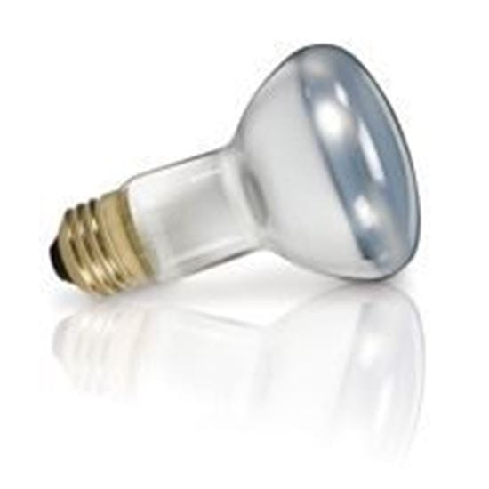 Light Bulbs Incandescents BR20 30W REPLACEMENT Spot medium 30R20 KR SP 12ML