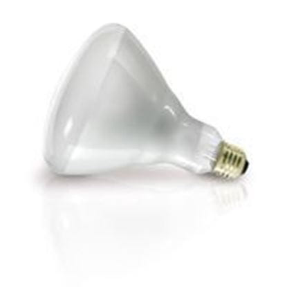 Picture of Light Bulbs Incandescents R40 Heat Lamp 125W medium 125R40 CL 12ML