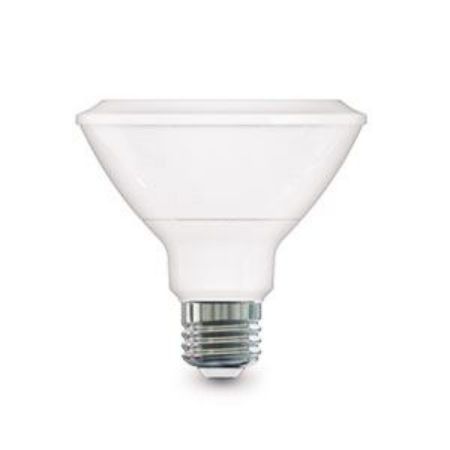 Picture for category PAR30 Shortneck Tone-Select