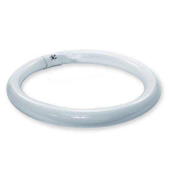 Light Bulbs Fluorescent Tubes Circline FC8T9 CW6741 RS 3YR