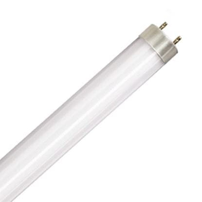 LED Bulbs Tubes - Replace Fluorescent 4FT T8 High Brightness Direct Install Glass 5000K L17T8 5K FR PLUGNGO (UNCOATED)