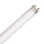 LED Bulbs Tubes - Replace Fluorescent 4FT T8 High Brightness Direct Install Glass 5000K L17T8 5K FR PLUGNGO (UNCOATED)