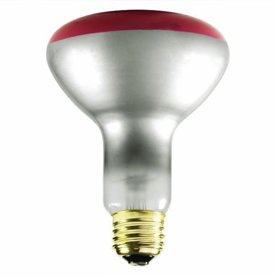 Picture of Light Bulbs Incandescents BR30 65W Red Medium 65BR30 SP 15ML