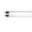 Light Bulbs Fluorescent Tubes Linear T8 Bipin F17T8 3500K SR7535 5YR
