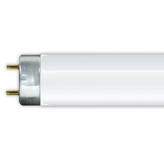 Light Bulbs Fluorescent Tubes Linear T8 Bipin 4100K F32T8 841 R1 1YR