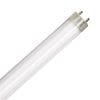 LED Bulbs Tubes - Replace Fluorescent 4FT T8 High Brightness Direct Install Glass 5000K 2400 LUMEN 17W L17T8 5K FR PLUGNGO (UNCOATED) 7YR