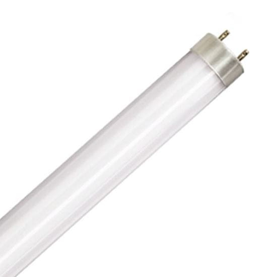 Picture of LED Bulbs Tubes - Replace Fluorescent 4FT T8 High Brightness Direct Install Glass 5000K 2400 LUMEN 17W L17T8 5K FR PLUGNGO (UNCOATED) 7YR