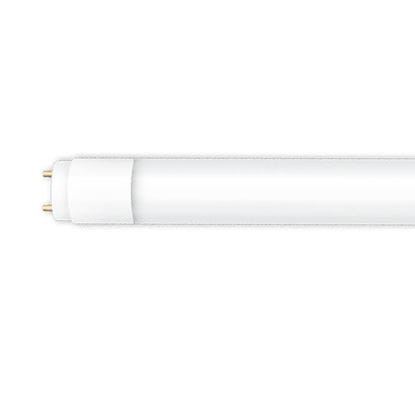 LED Bulbs Tubes - Replace Fluorescent 4FT T8 MEDIUM Brightness Direct Install Glass 5000K 1800 LUMEN 14W L14T8 5K FR PLUGNGO (UNCOATED) 5yr