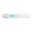 LED Bulbs Tubes - Replace Fluorescent 8FT T8 Single Pin Direct Install -Glass 5000K L96T8IS 42W XtraBrite 9YR (F96T8 IS REPLACEMENT)