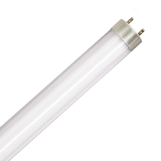 LED Bulbs Tubes - Replace Fluorescent 4FT T8 High Brightness Direct Install Glass 5000K 2200 LUMEN 15W L15T8 5K FR PLUGNGO (UNCOATED) 7YR