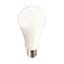 LED Bulbs A-Shape General Service Non-Dimmable 16WA21 2700K 3YR (100W INCAN. REPLACEMENT)