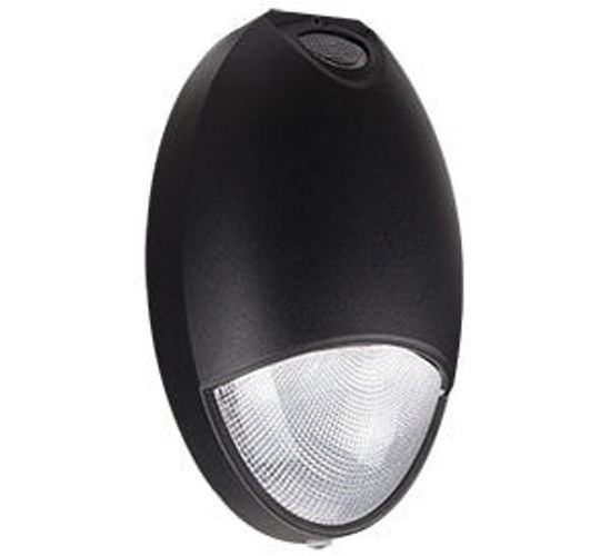 Picture of LED Outdoor Wall & Path Sconce 35MH Equiv 65K 12W 3YR