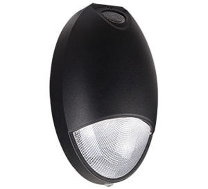 LED Outdoor Wall & Path Sconce 35MH Equiv 65K 12W 1YR