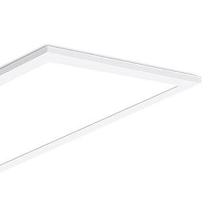LED Spec-Select™ Panel 1' X 4' 25/30/40W 35/41/50K DIMM 120-277V 7YR
