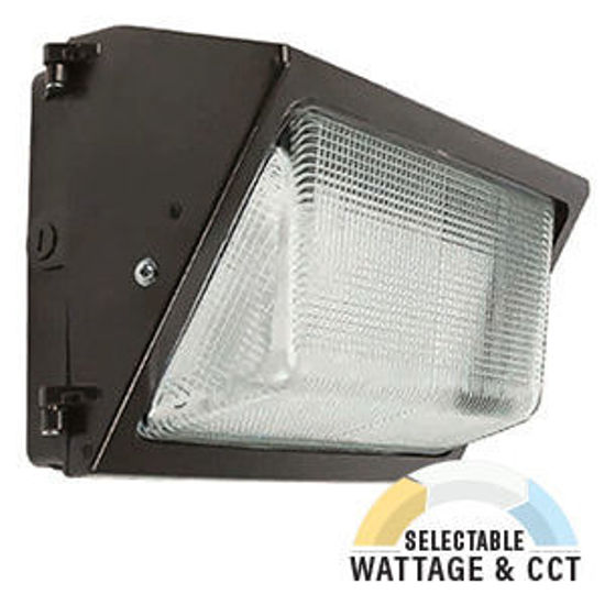SPEC-SELECT™ LED Outdoor Medium Wallpack 175MH Equiv 50-30K 40/50/60W XTREME DUTY 7YR