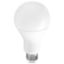 LED Bulbs A-Shape General Service Non-Dimmable 20WA21 5000K 4YR (200W INCAN. REPLACEMENT)