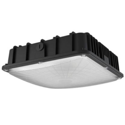 LED Indoor Outdoor Canopy/Ceiling Light 75W 5000K BLK 120-277V Xtreme Duty 7yr