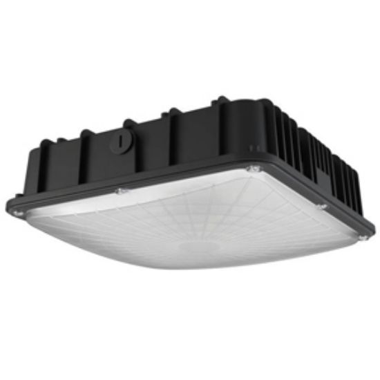 LED Indoor Outdoor Canopy/Ceiling Light 60W 4000K BLK 120-277V Light Commercial 5yr